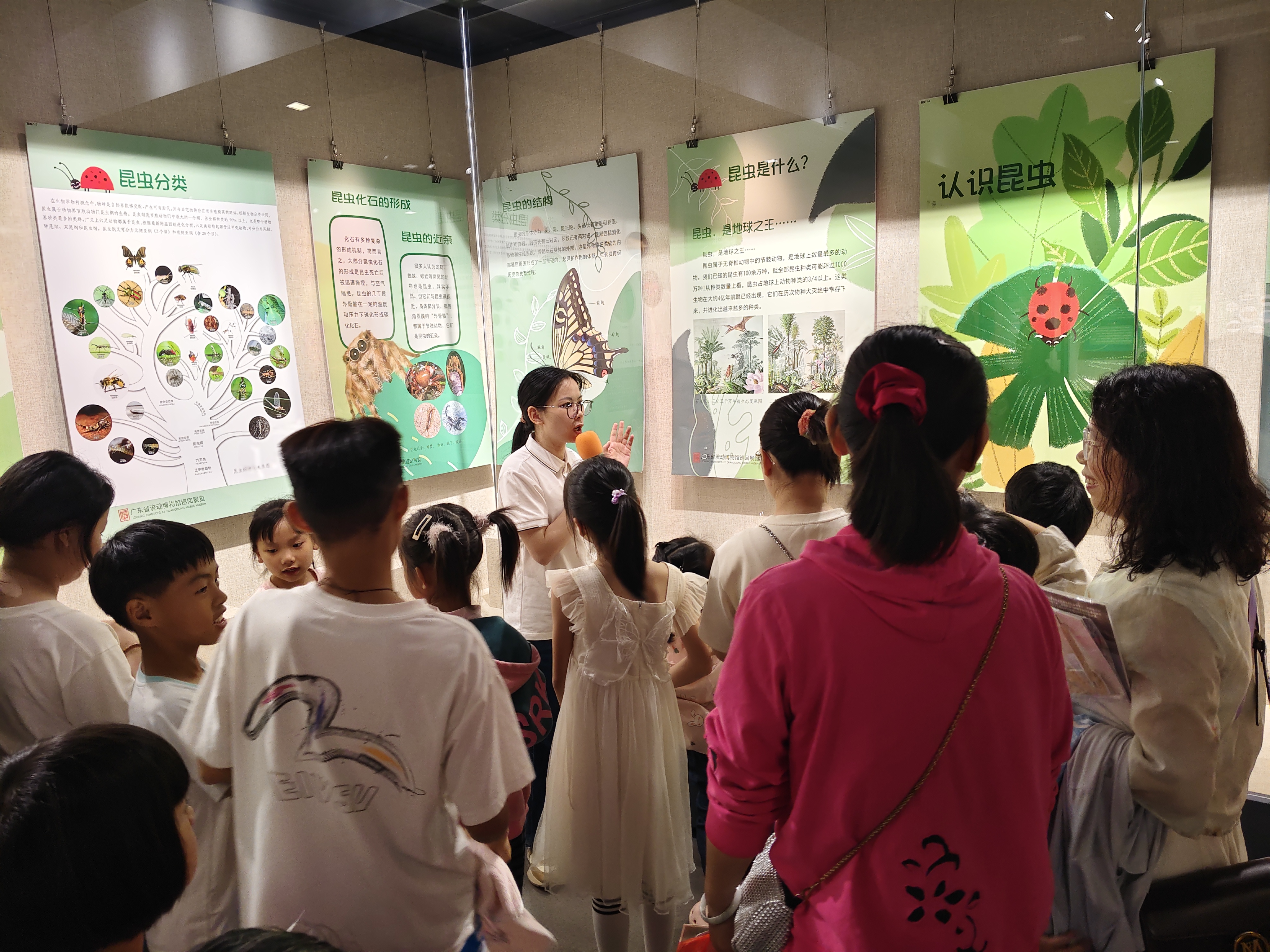 昆虫展1.jpg