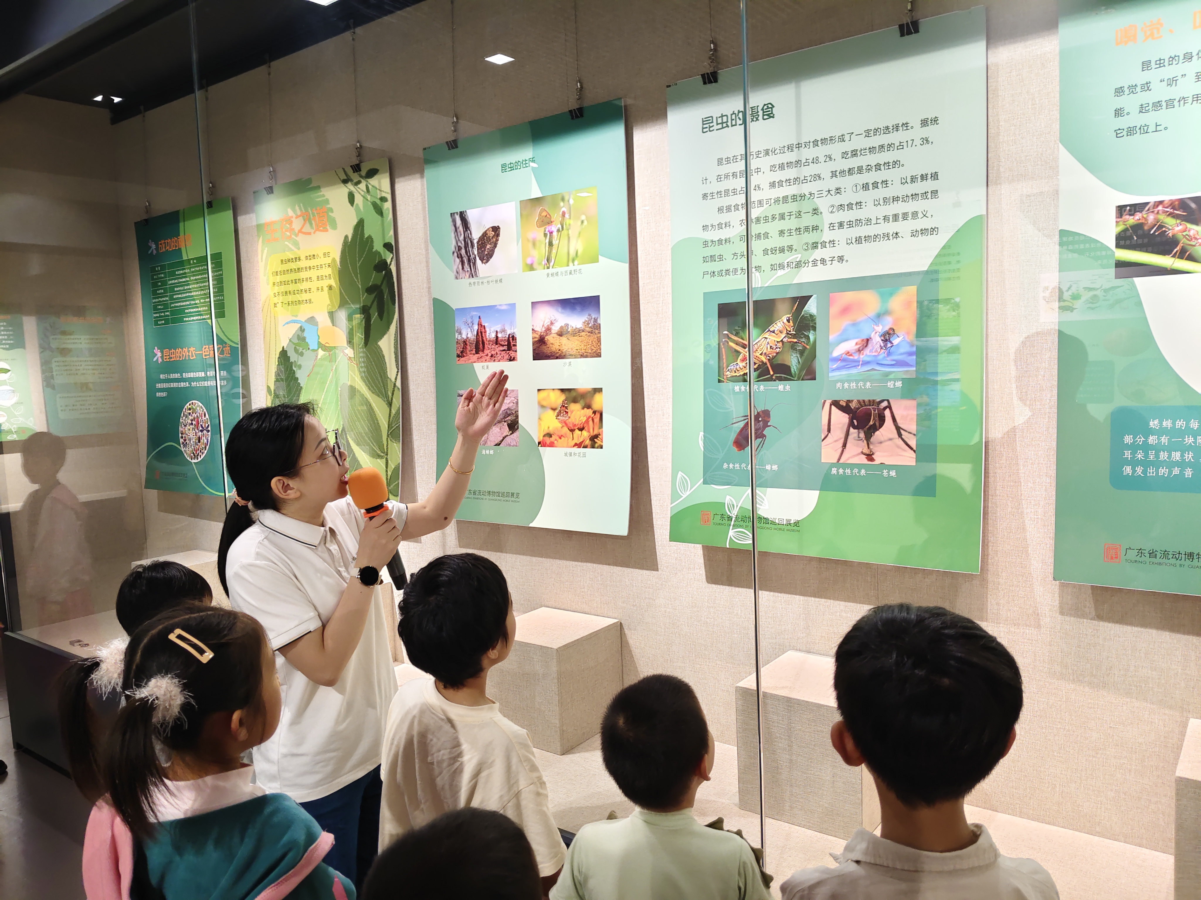 昆虫展3.jpg